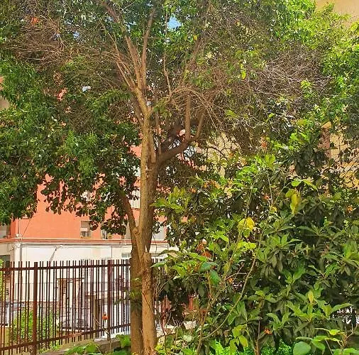 Star House - Centro 巴里